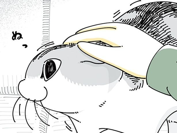 なでなでに飽きやすい
