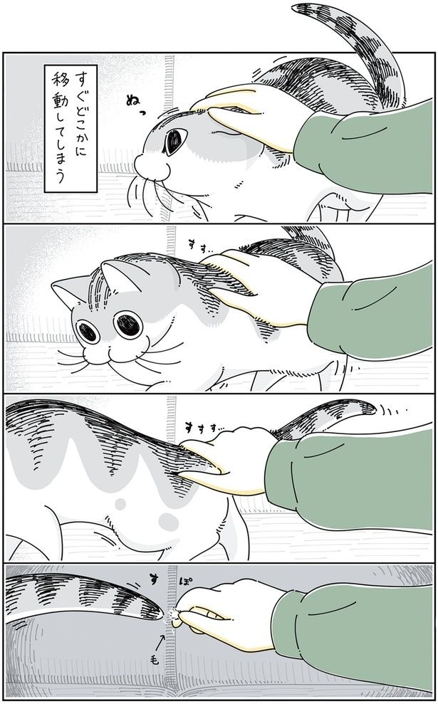 すぐどこかに移動してしまうけど…