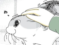 なでなでするとすぐにどこかへ行ってしまう。めげずにネコを構っていると