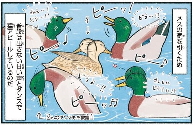 普段は出さない甘い声とダンスで猛アピールしているのだ