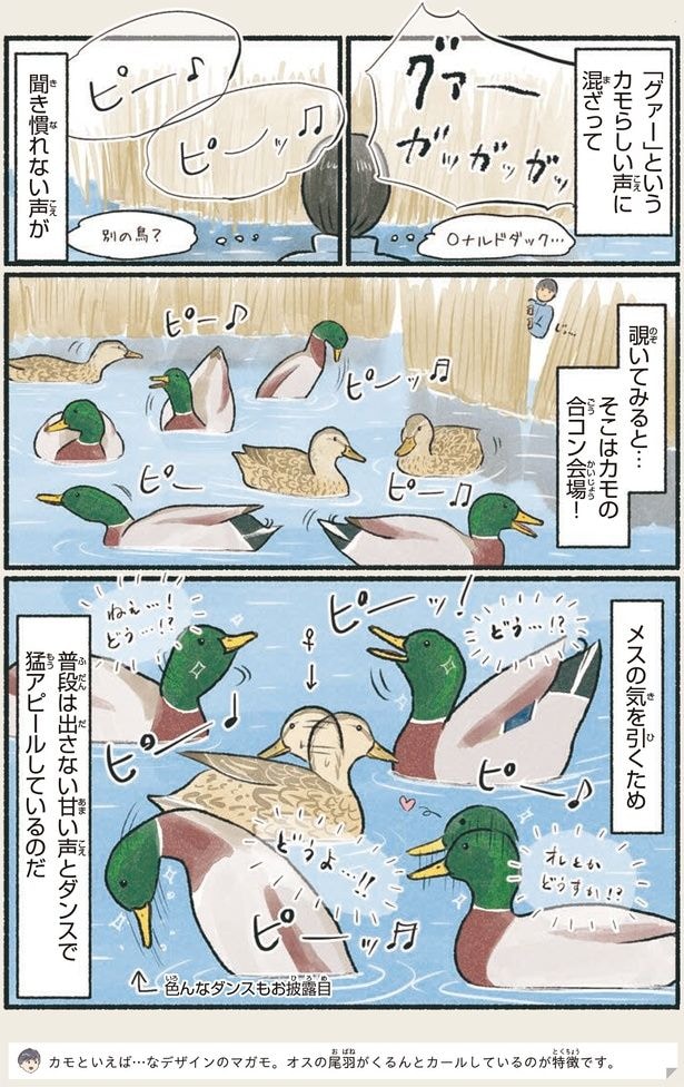 そこはカモの合コン会場!