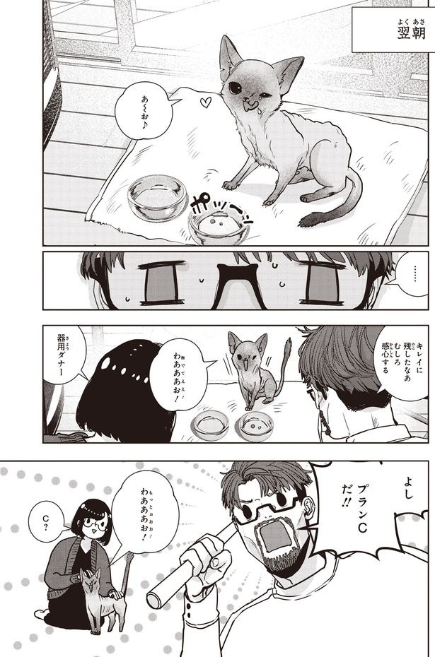 キレイに残したなあ