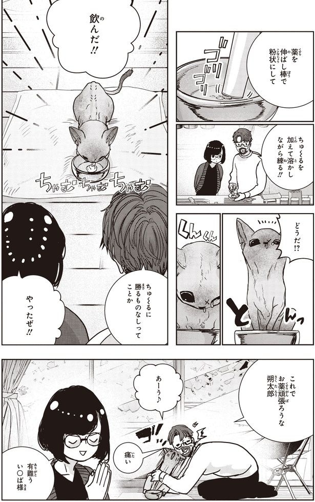 やったぜ!!