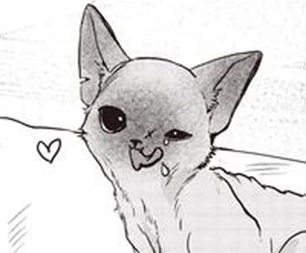 子猫への投薬。直接口に入れるのも、エサに混ぜるのもダメなら…頼ったのはアレ!/スローステップ朔太郎 上(10)