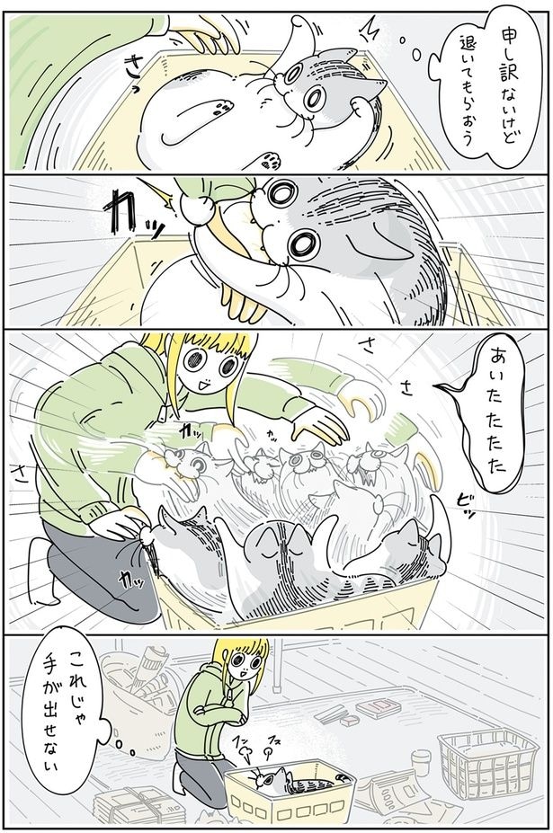 申し訳ないけど退いてもらおう