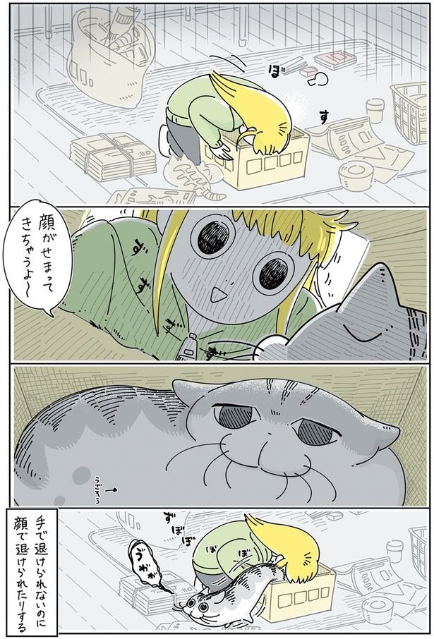 顔で退けられたりする