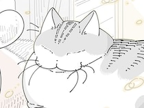 「もう朝か」目覚めても、隣で寝ていたネコのうとうとする様子につられてしまい