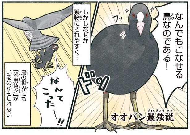 なんでもこなせる鳥なのである!