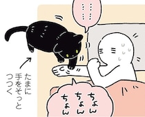 「明日起きられるかな…」GW明けの不安を察知？黒猫ろんの親切すぎる行動