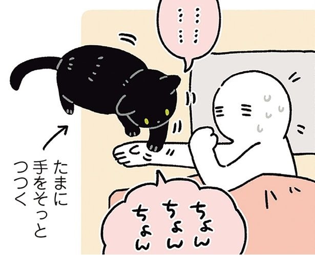 「明日起きられるかな…」GW明けの不安を察知?黒猫ろんの親切すぎる行動