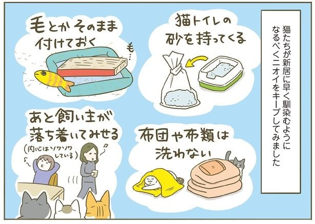 早く新居に馴染むように