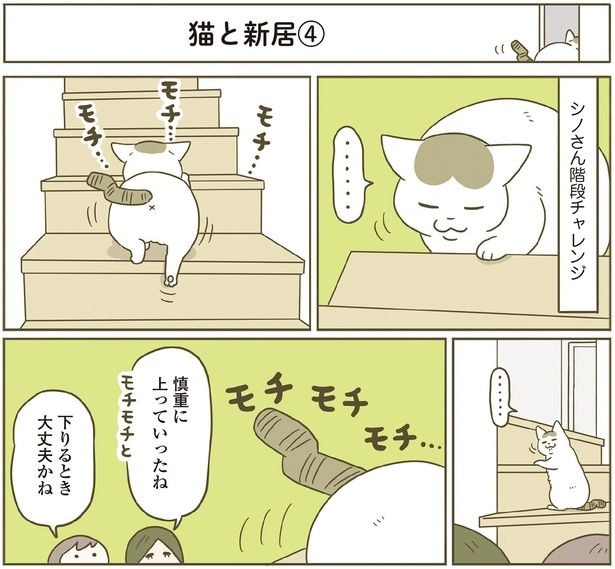モチ…モチ…モチ…