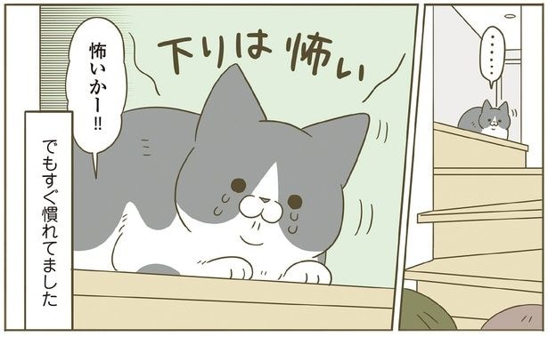 怖いかー!!