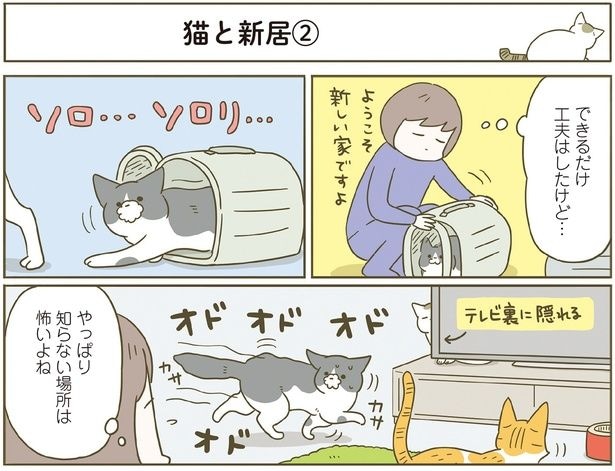 やっぱり知らない場所は怖いよね