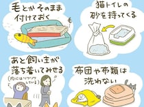 いざ新居へ！ 猫たちが早く新しい環境に馴染めるように、様々な工夫をしました