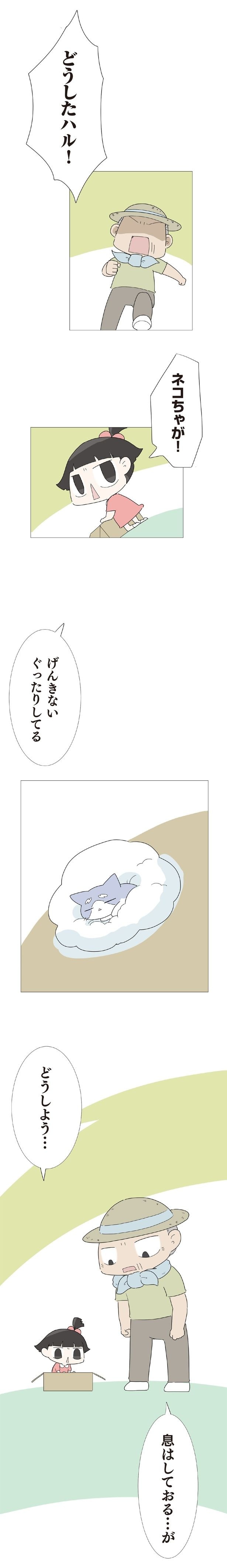 どうしよう…