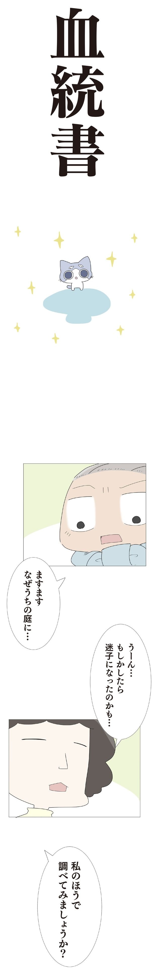 迷子になったのかも