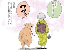 今日も笑顔で出発！おばあちゃんとゴールデンレトリーバー・ナイトのおさんぽ時間／姫ばあちゃんとナイト1（1）