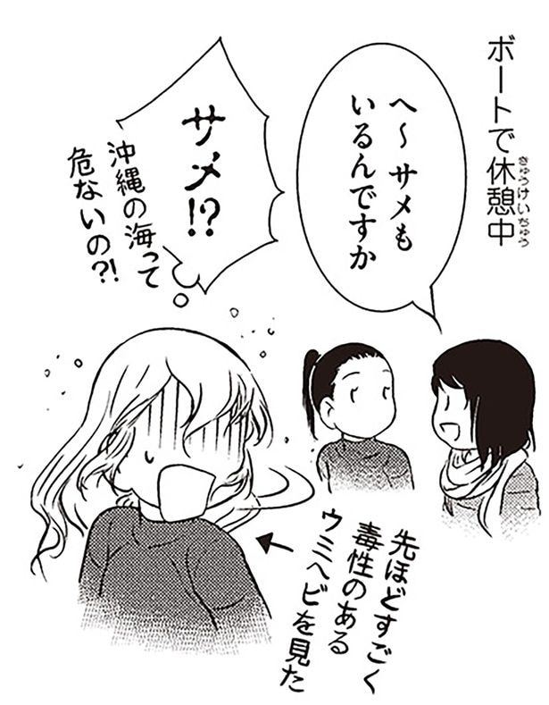 サメ！？