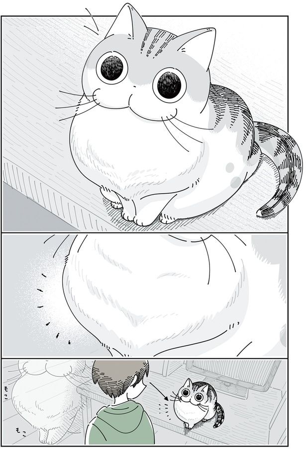 なでると形が変わるネコ