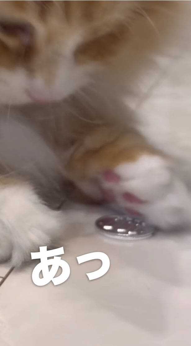手から100円玉がはみ出してしまった▶不満だったのか…（⇒次へ）