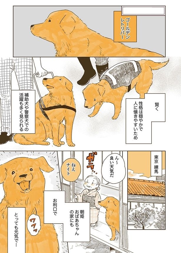 ん～　良い天気だ　ねえナイト