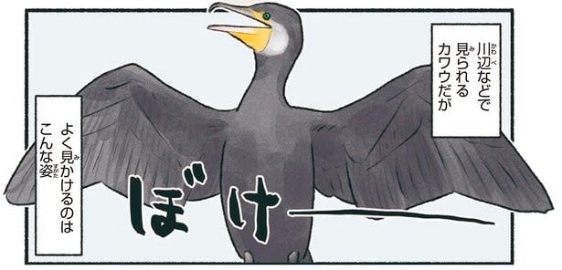よく見かけるのはこんな姿