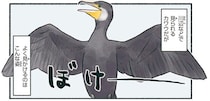 翼を広げてぼけーっ。潜水が得意なカワウが謎ポーズをする理由