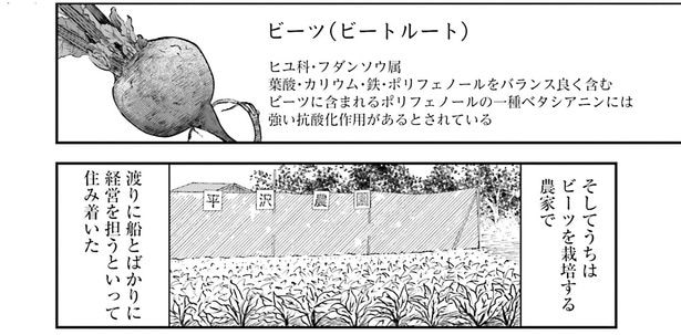 そしてうちはビーツを栽培する農家で