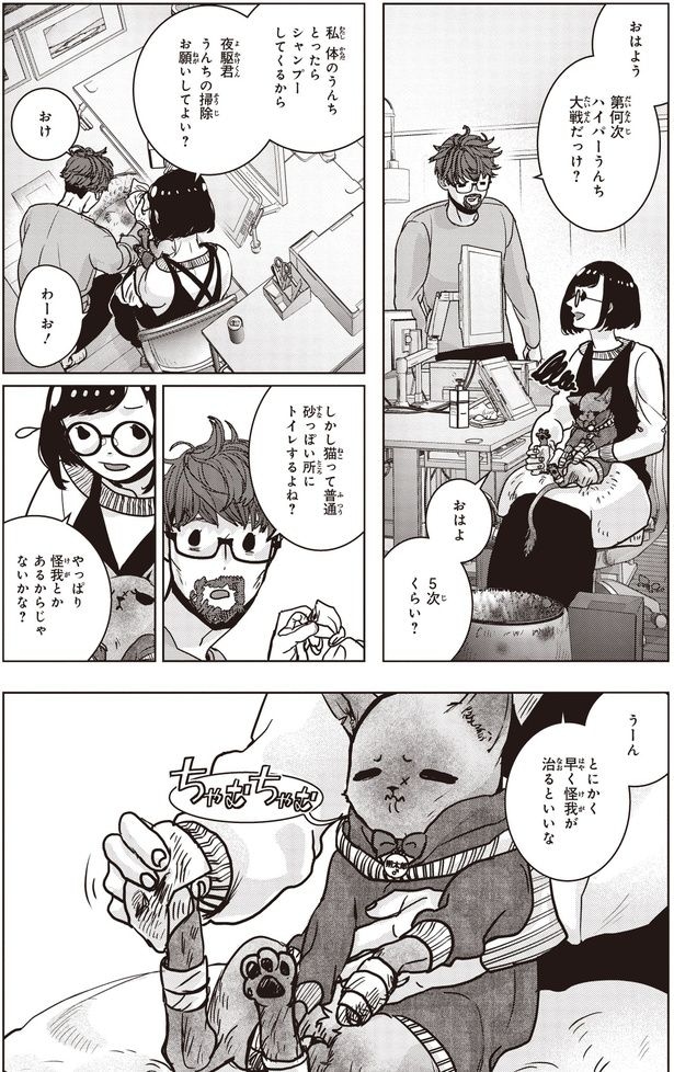 普通砂っぽい所にトイレするよね？