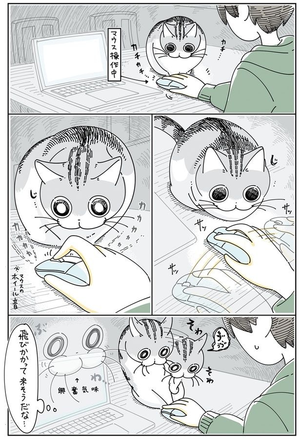 マウス操作が気になるネコ