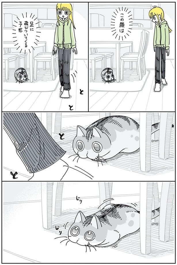 この顔は