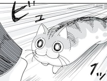 「この顔は、飛びついてくる予感」飼い主の足に狙いを定めるネコの行く末は