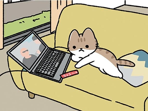 犬と猫、修正は違えど…