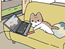 【犬は人につき、ねこは家につく】ねこと犬は違う習性だけれど、いつも一緒にいてくれる！