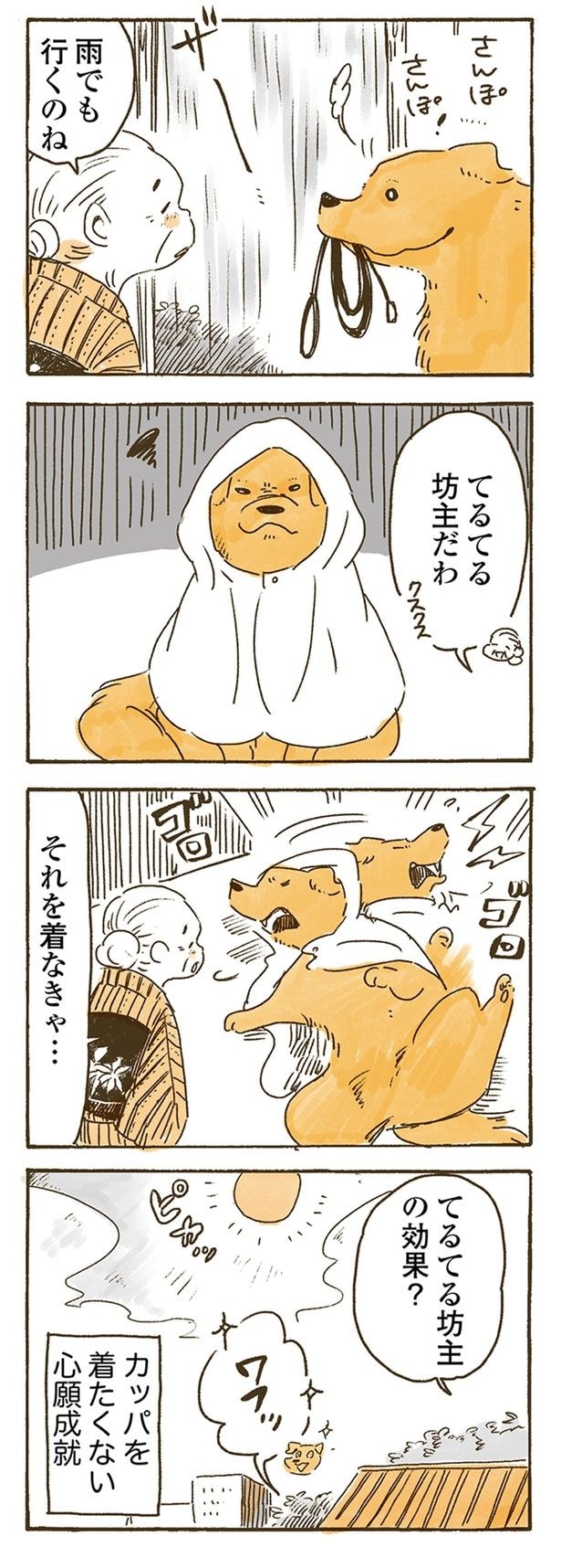 雨でも行くのね