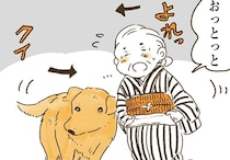 大好きだから支えたい。おばあちゃんとレトリバーの心温まる関係