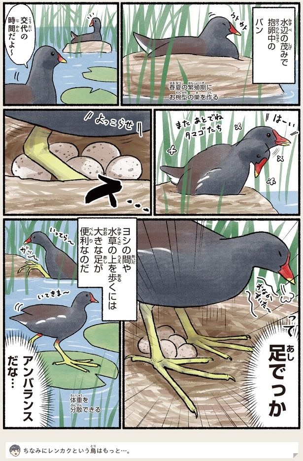 アンバランスだな…