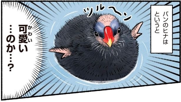 可愛い…のか…？