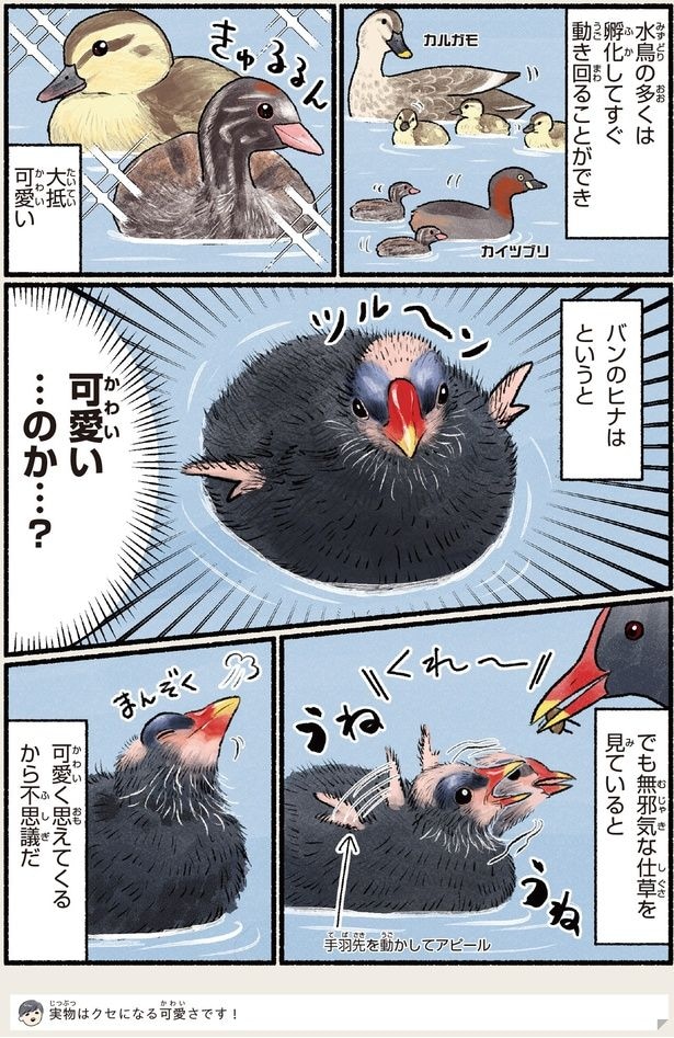 可愛く思えてくるから不思議だ