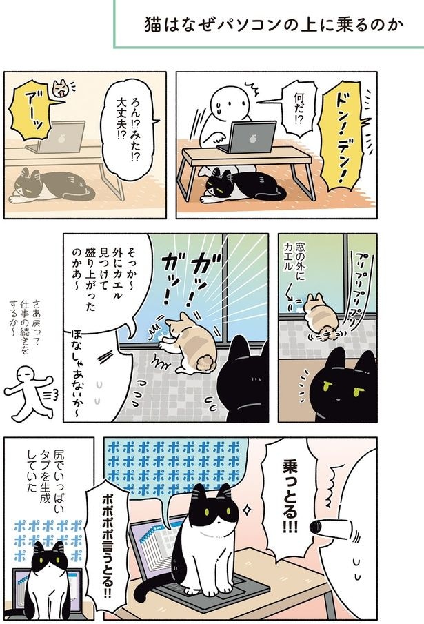 猫はなぜパソコンの上に乗るのか