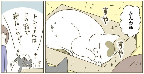 この箱で寝たいので…