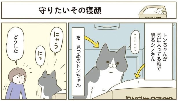 どうした