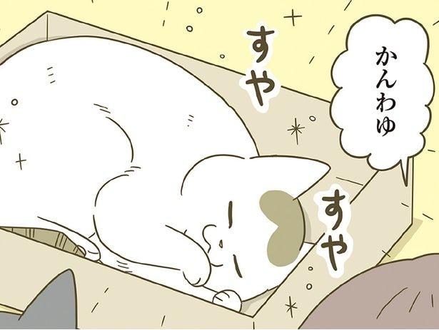 かんわゆ