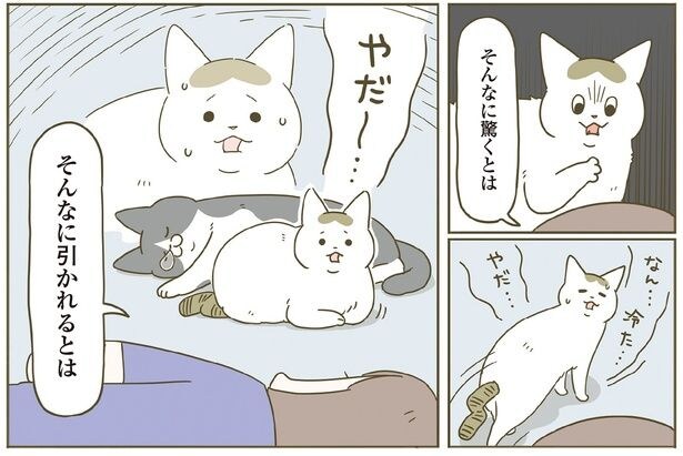 やだー…