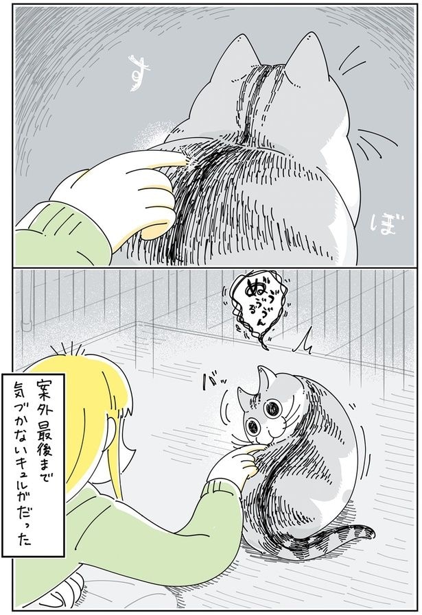 案外最後まで気づかない