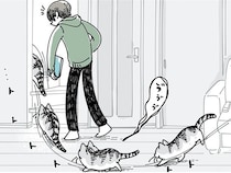 2階に移動する飼い主についてきてくれる。そんなネコの追従が申し訳なくなる瞬間