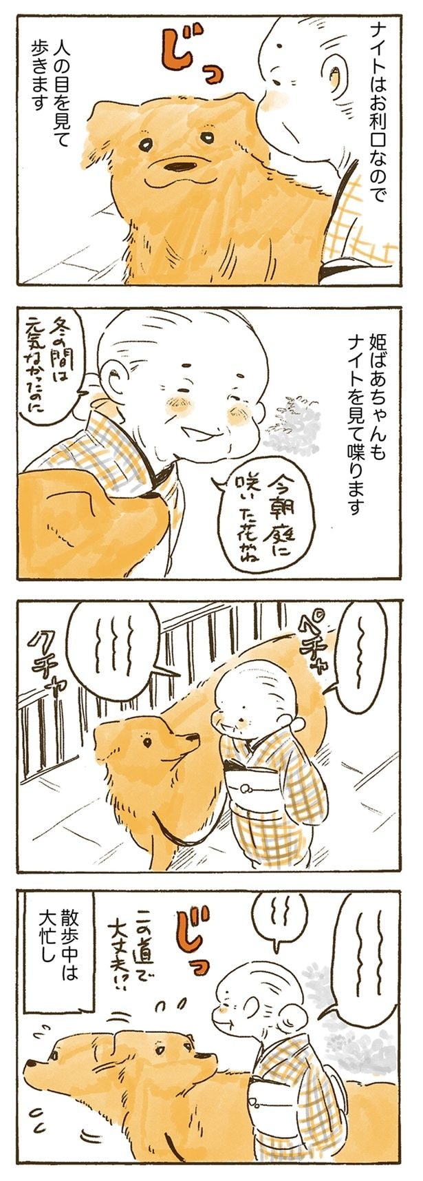 姫ばあちゃんもナイトを見て喋ります