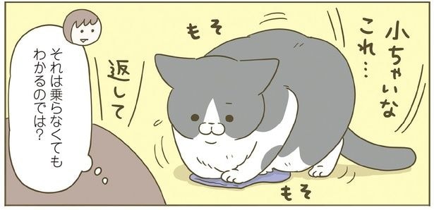 小ちゃいなこれ…