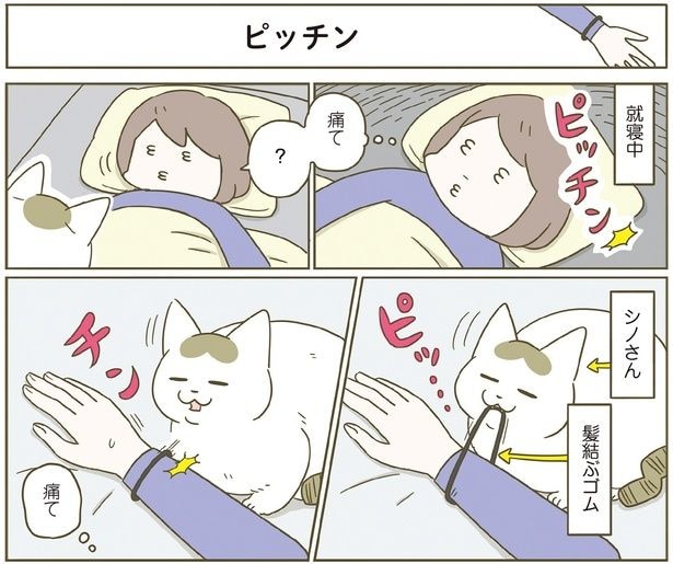 就寝中…